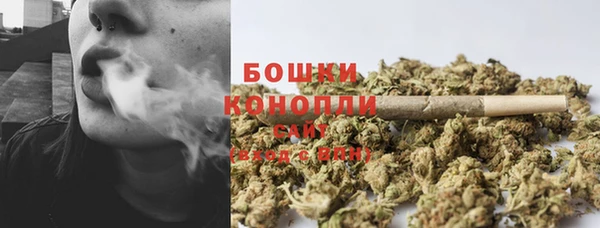тгк Дмитров