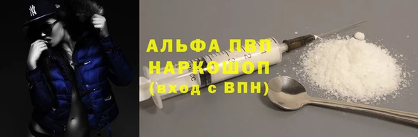 тгк Дмитров