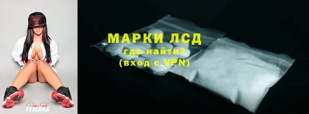 стаф Ельня