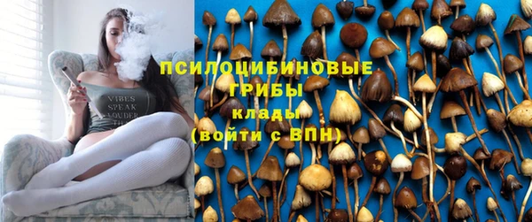 трава Дмитриев