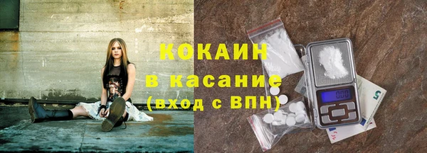 стаф Ельня