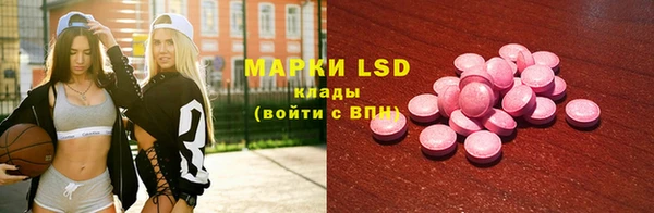 тгк Дмитров