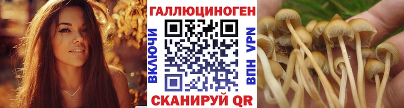 Купить где  Жуков  Галлюциногенные грибы Magic Shrooms 