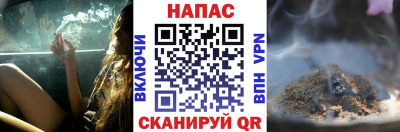 Купить закладки  Жуков  Каннабис SATIVA & INDICA 